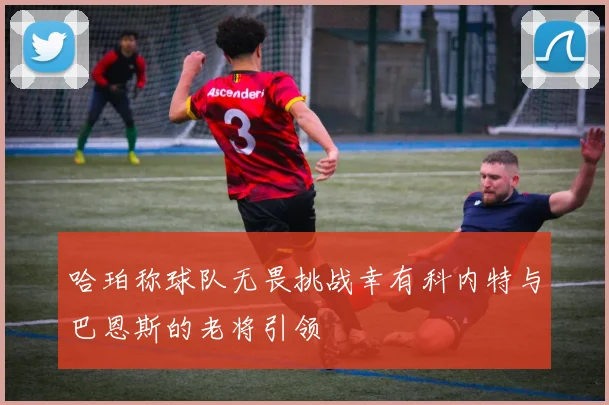 哈珀称球队无畏挑战幸有科内特与巴恩斯的老将引领
